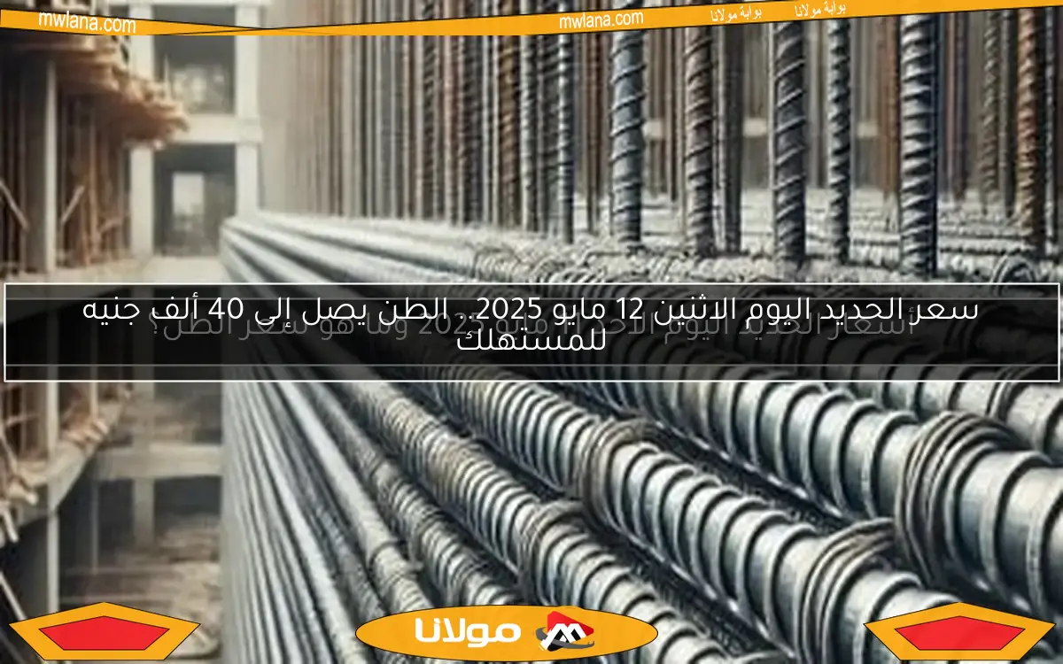 سعر الحديد اليوم الاثنين 12 مايو 2025.. الطن يصل إلى 40 ألف جنيه للمستهلك