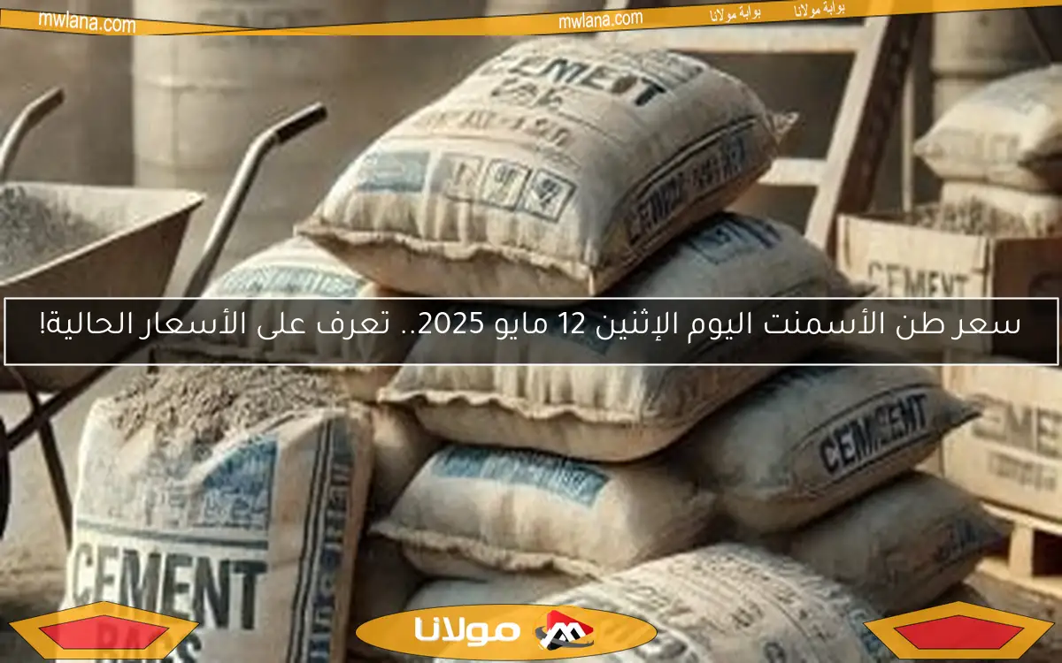 سعر طن الأسمنت اليوم الإثنين 12 مايو 2025.. تعرف على الأسعار الحالية!