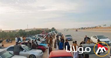 استكشف أفضل أنواع المركبات النقل المرخصة في مارس 2025