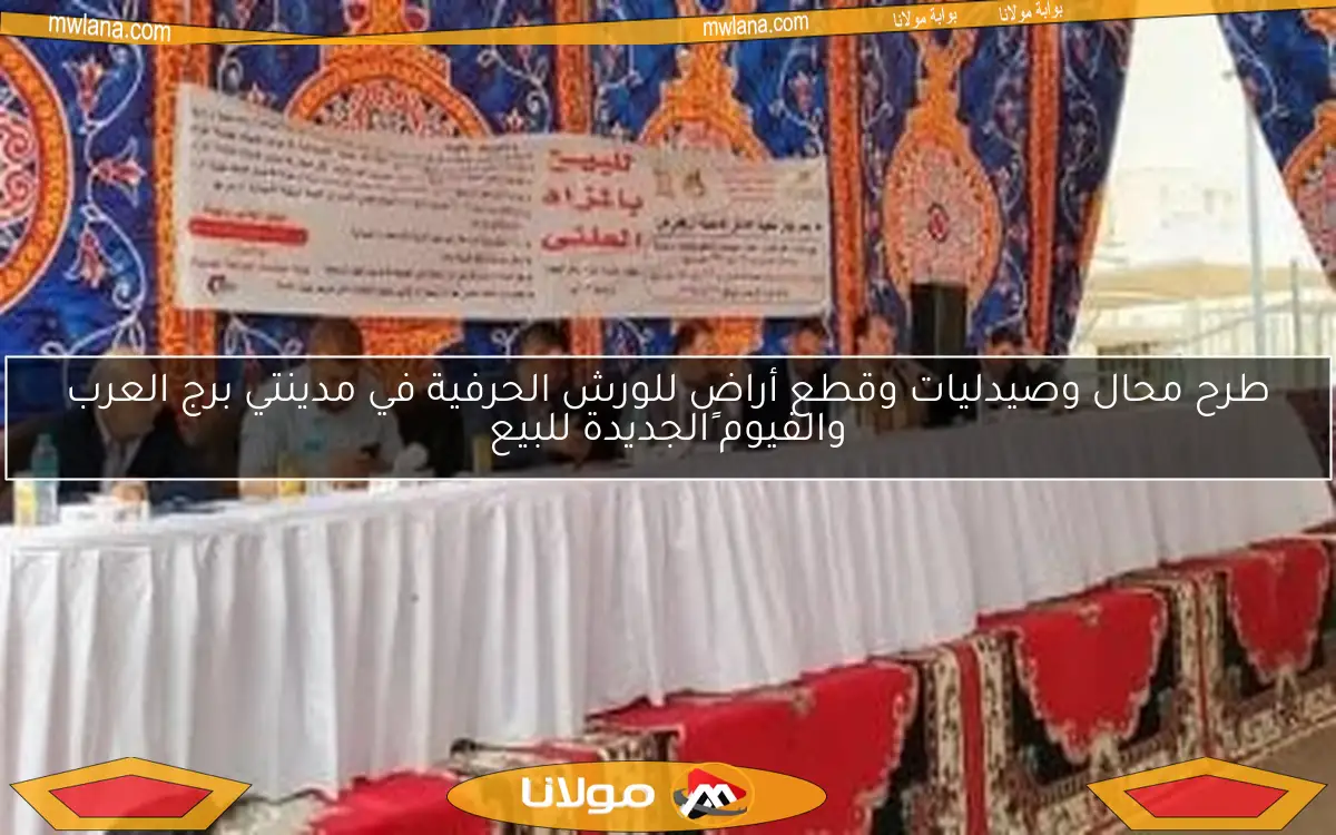طرح محال وصيدليات وقطع أراضٍ للورش الحرفية في مدينتي برج العرب والفيوم الجديدة للبيع