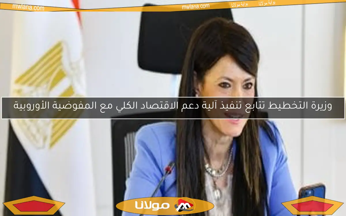 وزيرة التخطيط تتابع تنفيذ آلية دعم الاقتصاد الكلي مع المفوضية الأوروبية