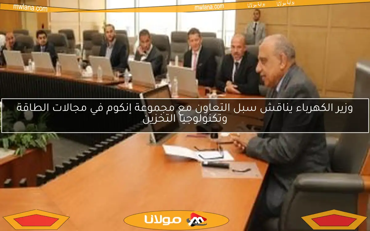 وزير الكهرباء يناقش سبل التعاون مع مجموعة إنكوم في مجالات الطاقة وتكنولوجيا التخزين