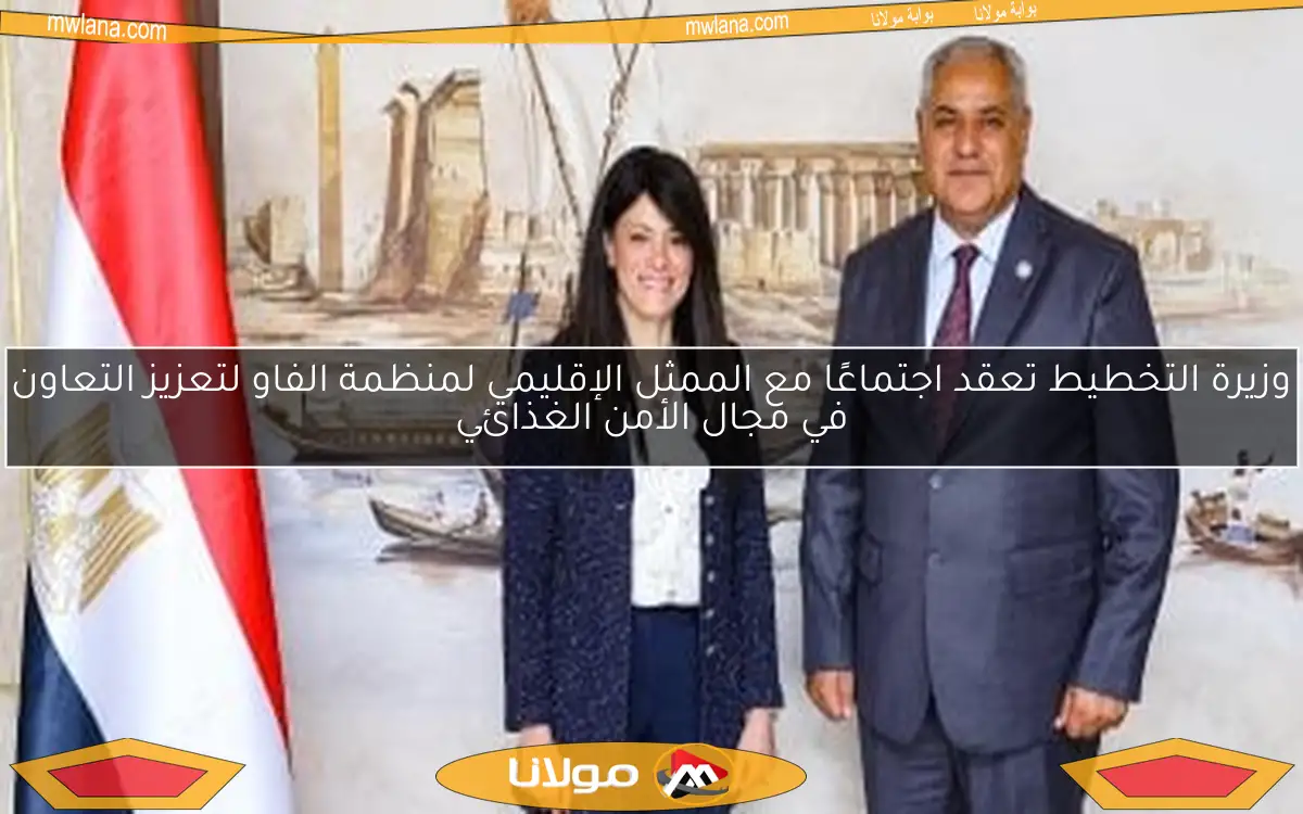 وزيرة التخطيط تعقد اجتماعًا مع الممثل الإقليمي لمنظمة الفاو لتعزيز التعاون في مجال الأمن الغذائي