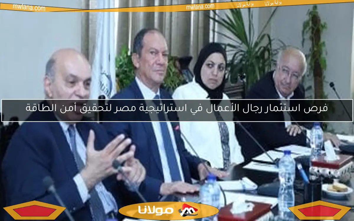 فرص استثمار رجال الأعمال في استراتيجية مصر لتحقيق أمن الطاقة