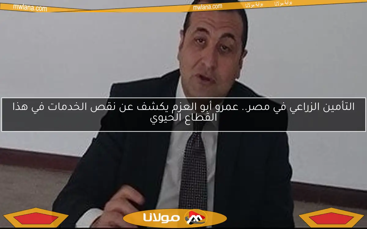 التأمين الزراعي في مصر.. عمرو أبو العزم يكشف عن نقص الخدمات في هذا القطاع الحيوي