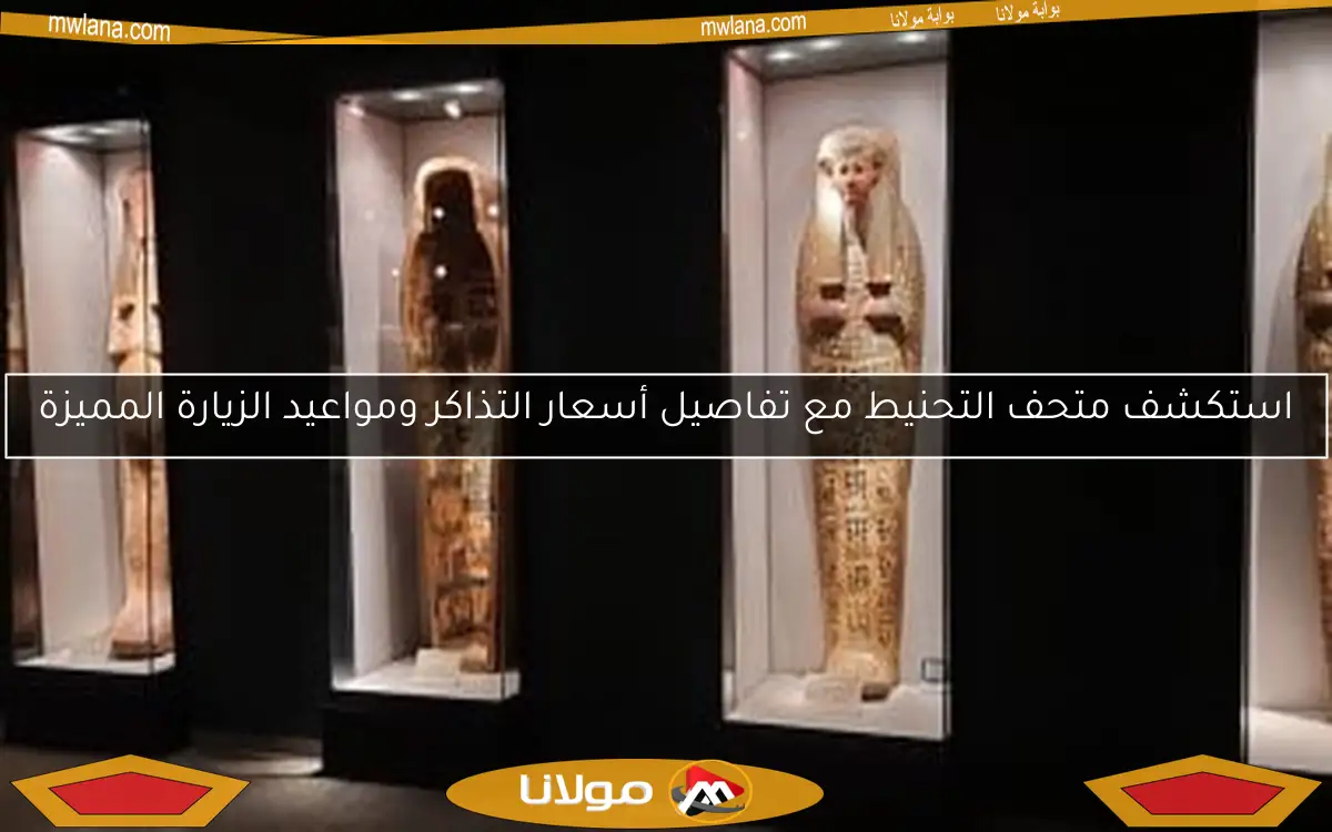 استكشف متحف التحنيط مع تفاصيل أسعار التذاكر ومواعيد الزيارة المميزة