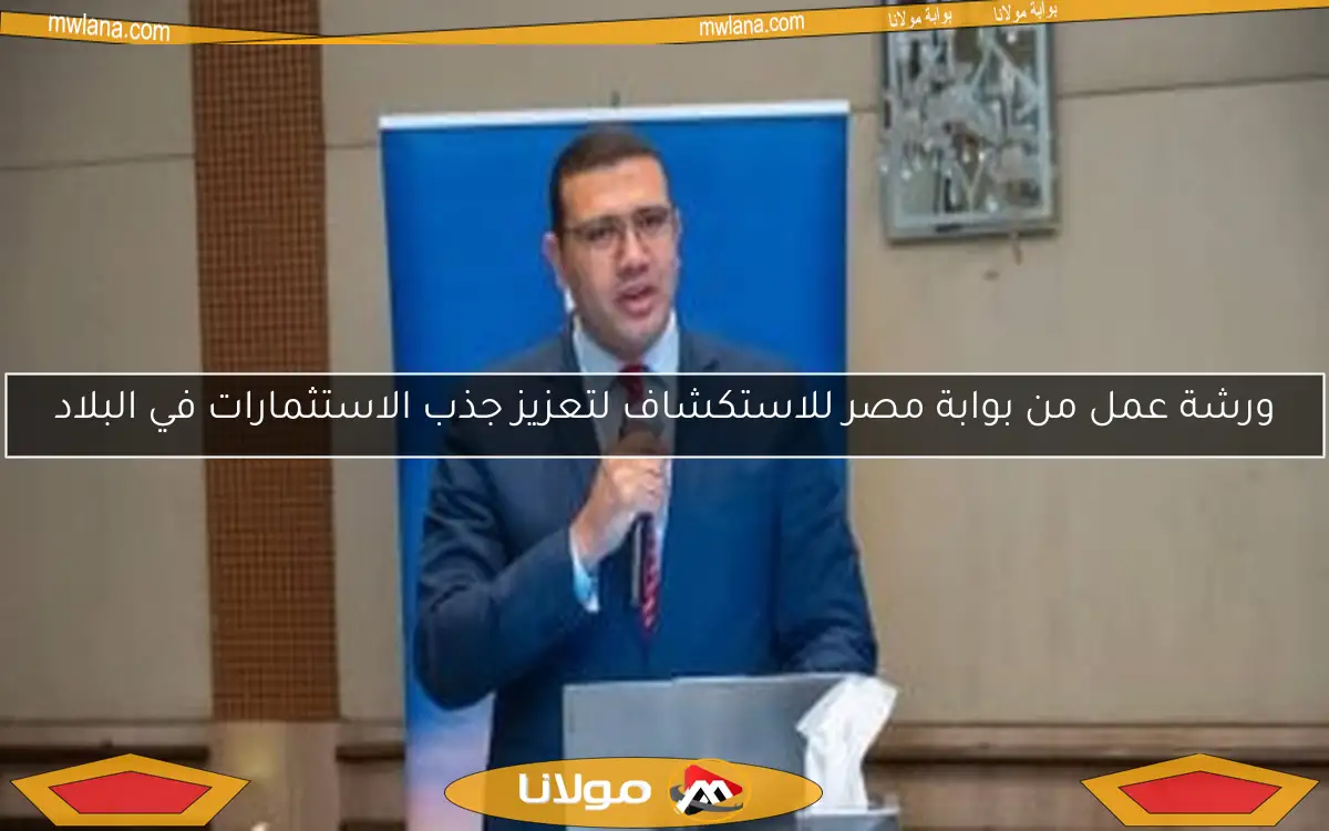 ورشة عمل من بوابة مصر للاستكشاف لتعزيز جذب الاستثمارات في البلاد