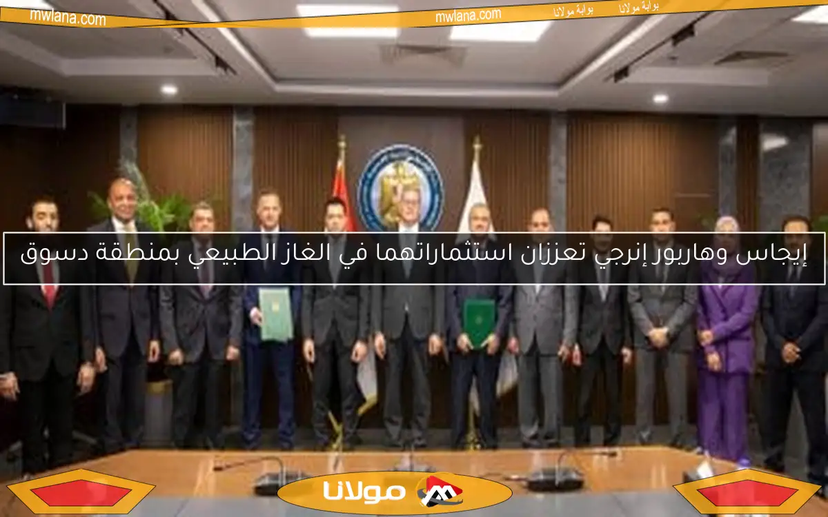 إيجاس وهاربور إنرجي تعززان استثماراتهما في الغاز الطبيعي بمنطقة دسوق
