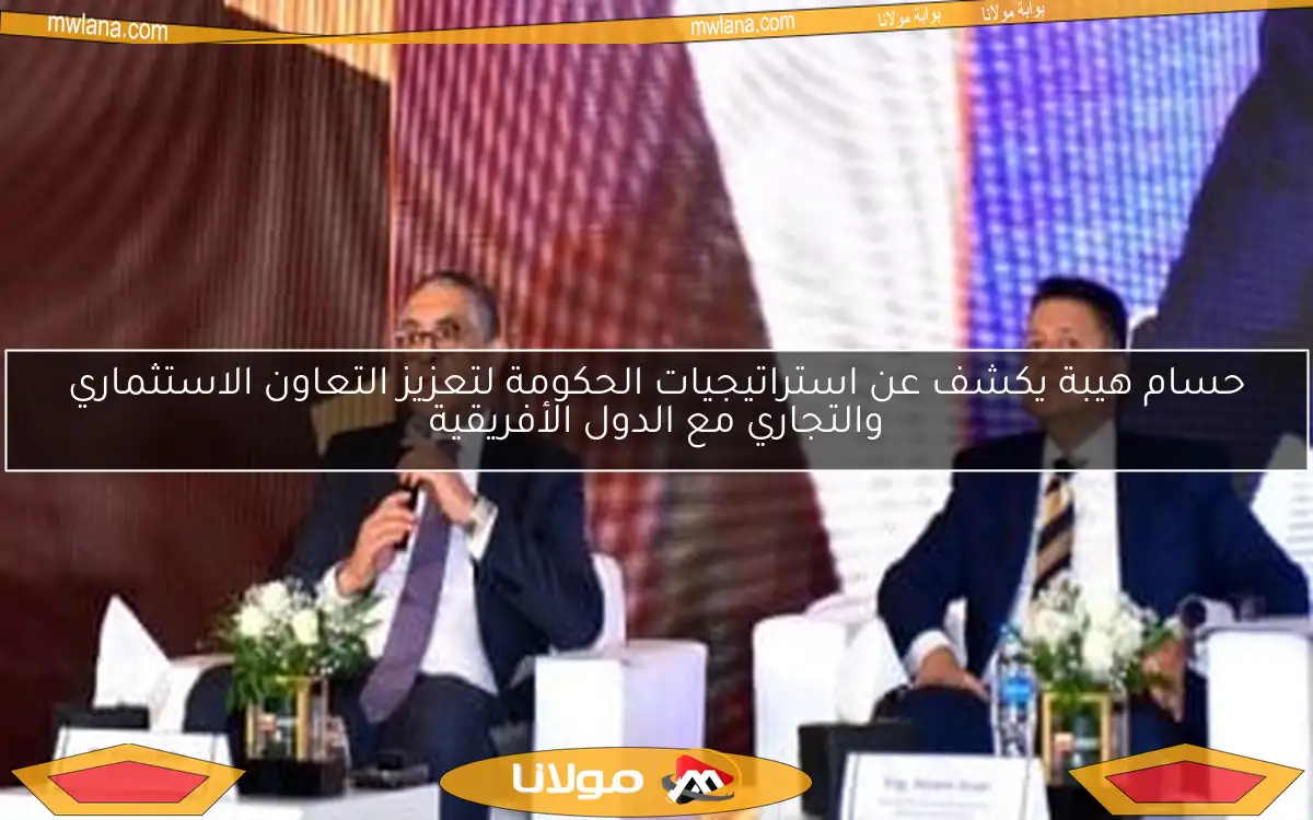 حسام هيبة يكشف عن استراتيجيات الحكومة لتعزيز التعاون الاستثماري والتجاري مع الدول الأفريقية