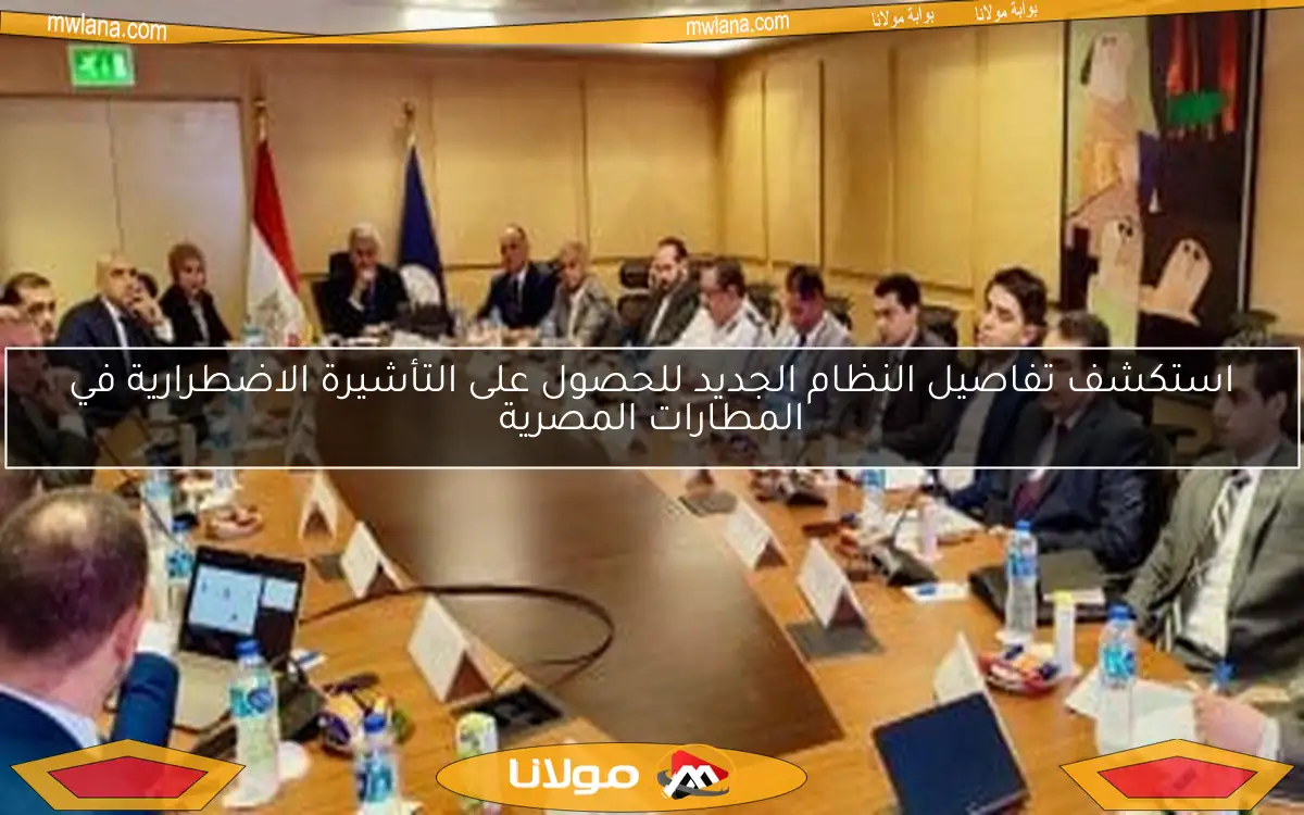 استكشف تفاصيل النظام الجديد للحصول على التأشيرة الاضطرارية في المطارات المصرية