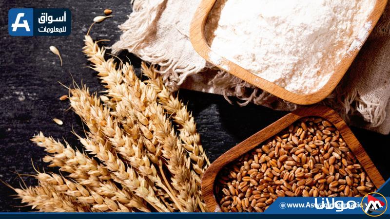 سعر الدقيق اليوم الأربعاء عند التجار بعد تراجع الردة