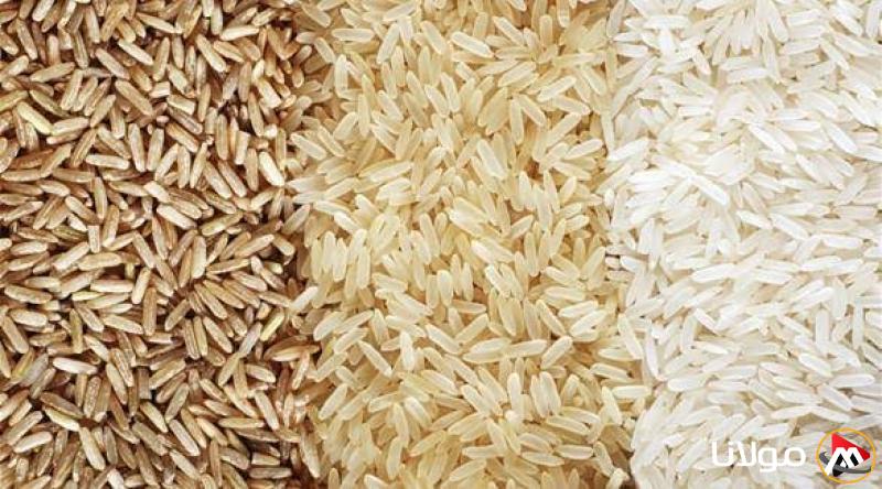 أسعار الأرز الشعير اليوم الأربعاء وتراجع الأرز رفيع الحبة عند التجار