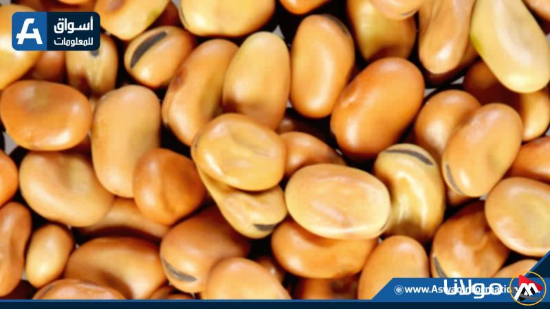 سعر الفول اليوم الخميس.. كم يبلغ سعر أردب الفول البلدي عند التجار؟
