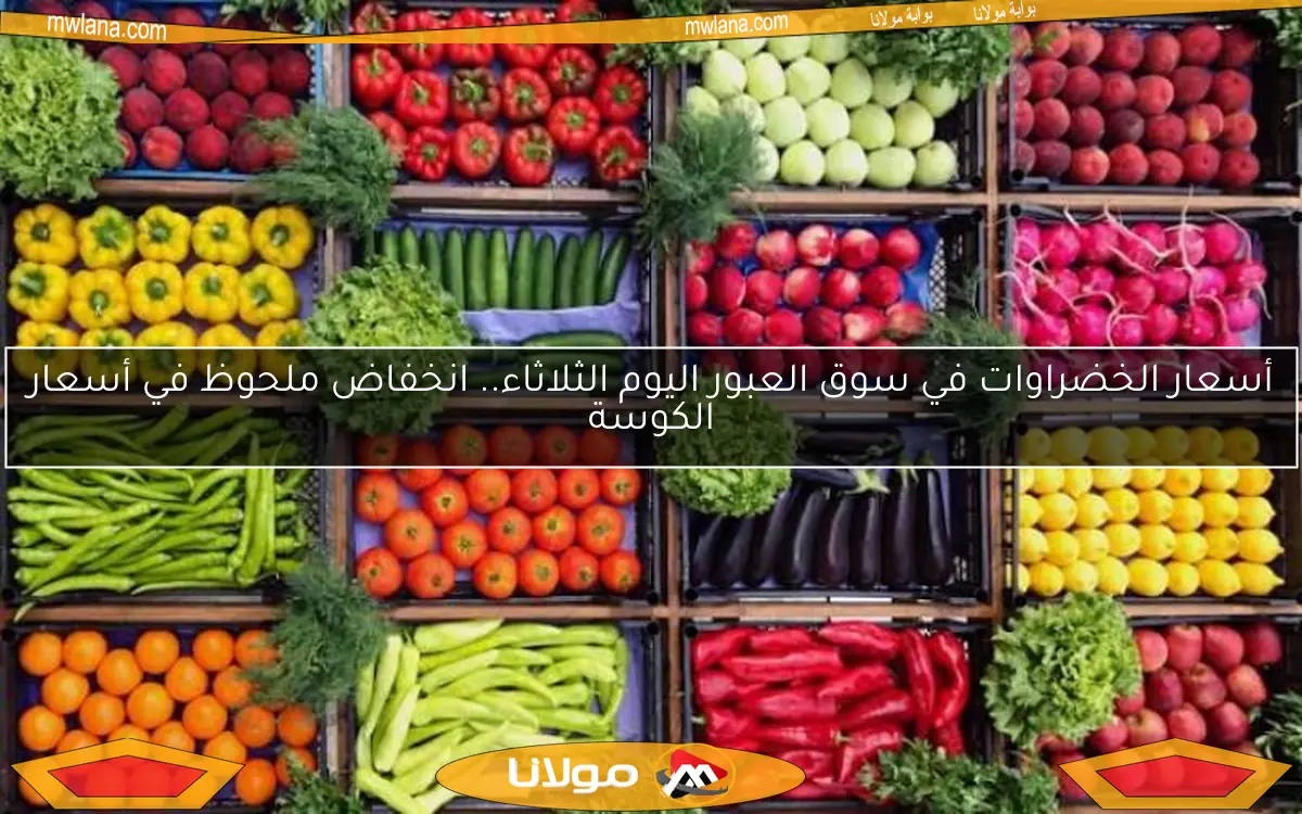 أسعار الخضراوات في سوق العبور اليوم الثلاثاء.. انخفاض ملحوظ في أسعار الكوسة