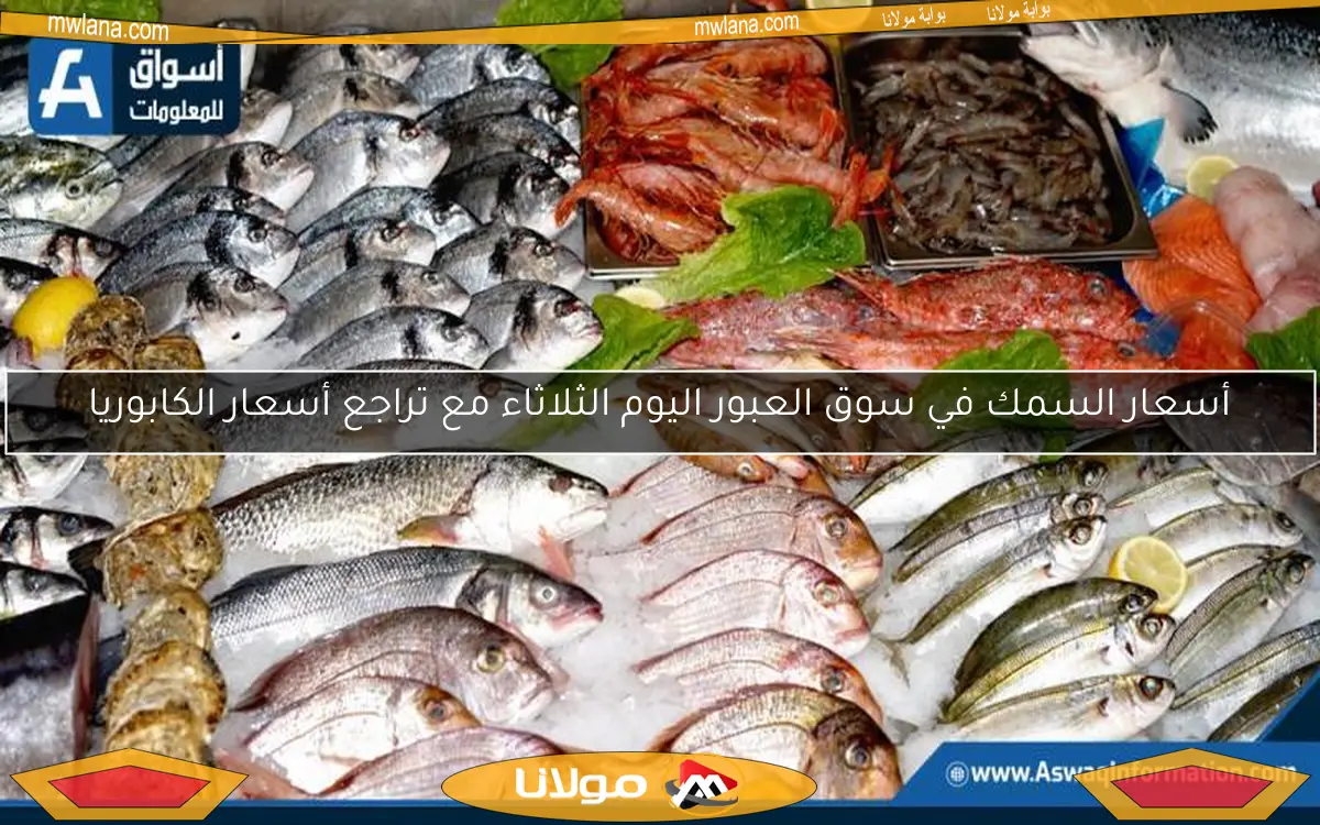 أسعار السمك في سوق العبور اليوم الثلاثاء مع تراجع أسعار الكابوريا
