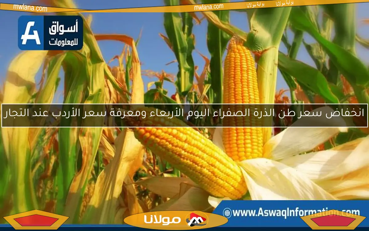 انخفاض سعر طن الذرة الصفراء اليوم الأربعاء ومعرفة سعر الأردب عند التجار