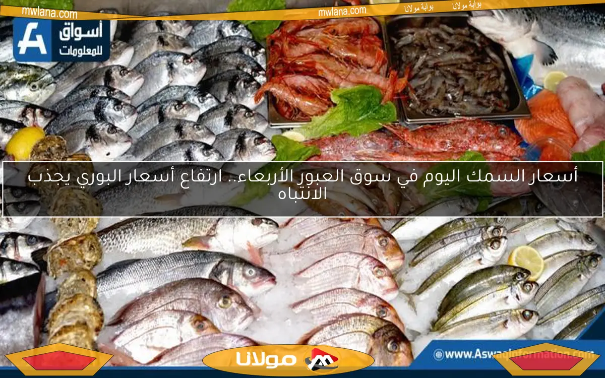 أسعار السمك اليوم في سوق العبور الأربعاء.. ارتفاع أسعار البوري يجذب الانتباه