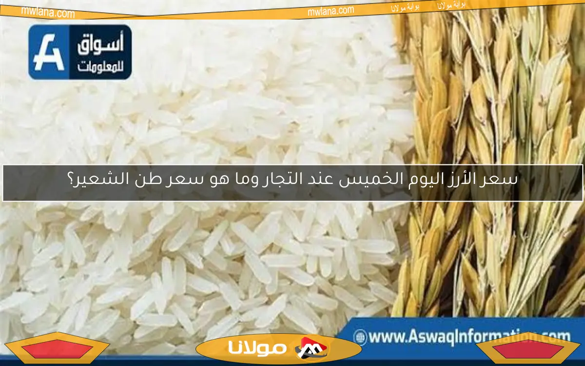 سعر الأرز اليوم الخميس عند التجار وما هو سعر طن الشعير؟