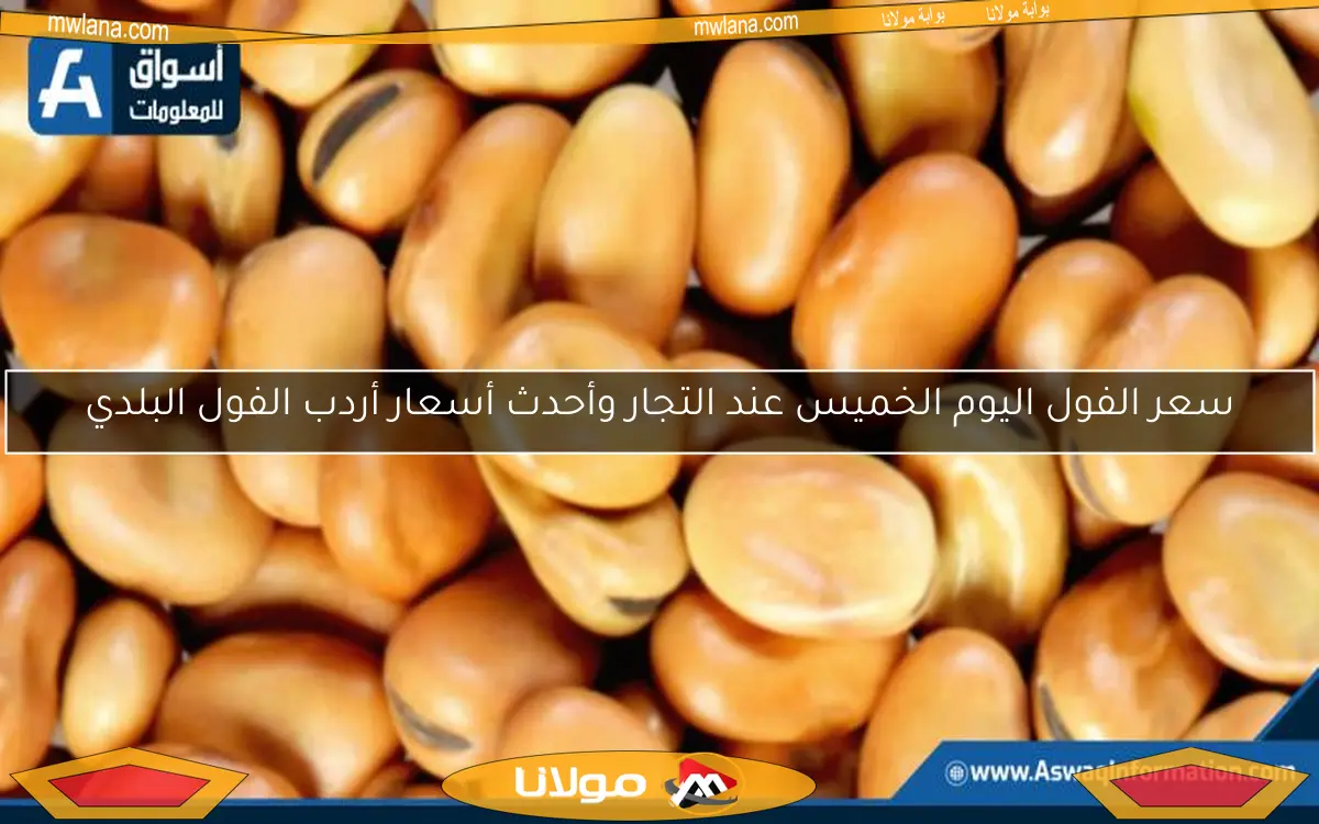 سعر الفول اليوم الخميس عند التجار وأحدث أسعار أردب الفول البلدي