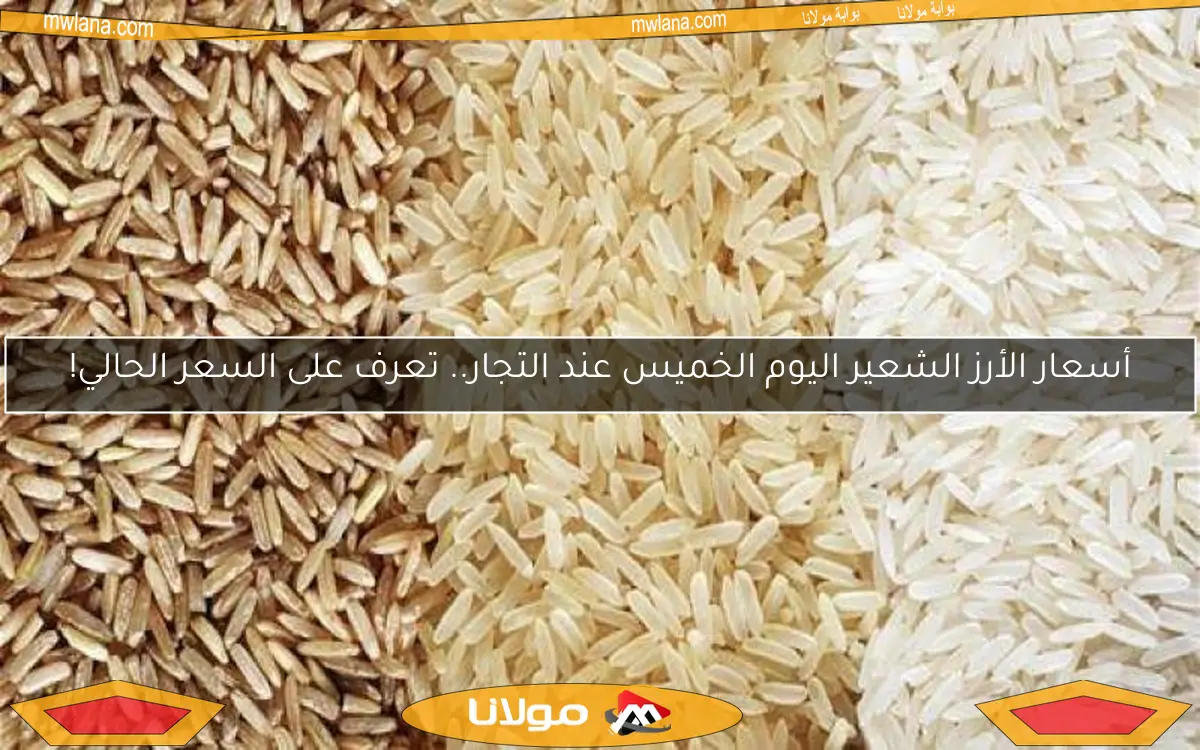 أسعار الأرز الشعير اليوم الخميس عند التجار.. تعرف على السعر الحالي!