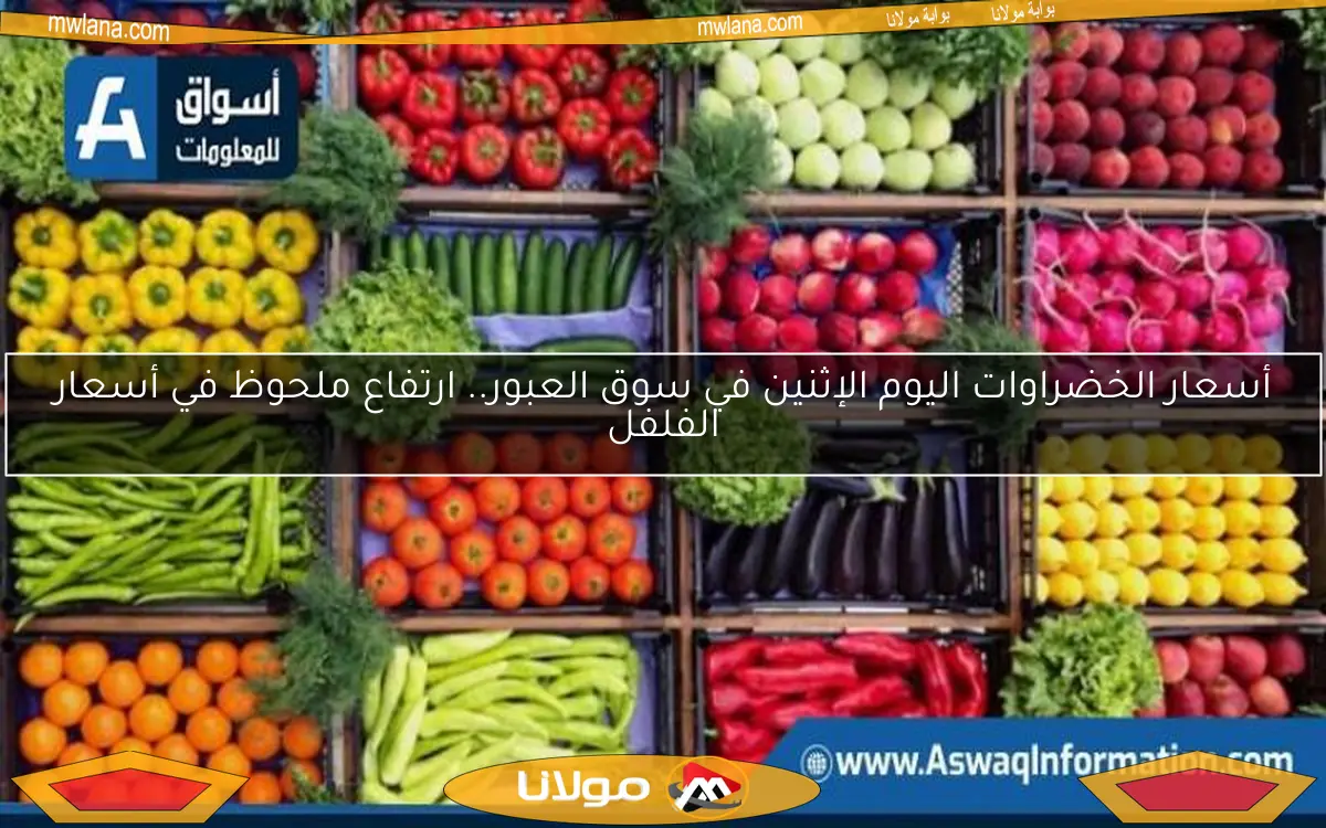 أسعار الخضراوات اليوم الإثنين في سوق العبور.. ارتفاع ملحوظ في أسعار الفلفل