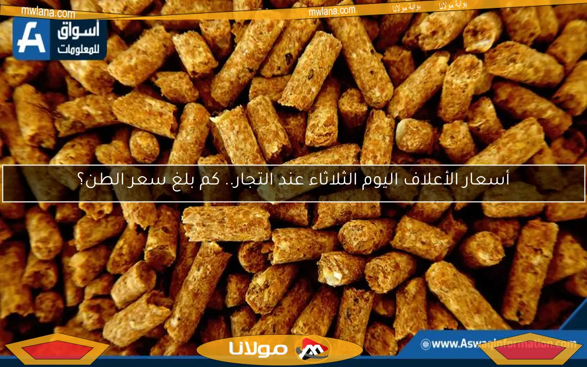 أسعار الأعلاف اليوم الثلاثاء عند التجار.. كم بلغ سعر الطن؟