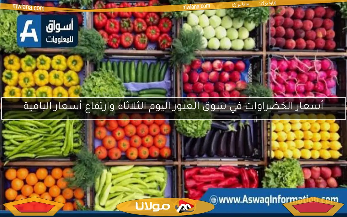 أسعار الخضراوات في سوق العبور اليوم الثلاثاء وارتفاع أسعار البامية