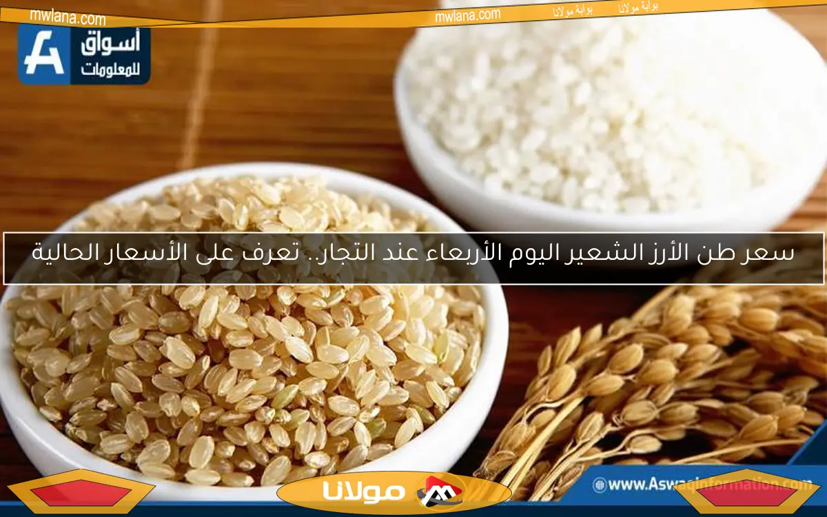 سعر طن الأرز الشعير اليوم الأربعاء عند التجار.. تعرف على الأسعار الحالية