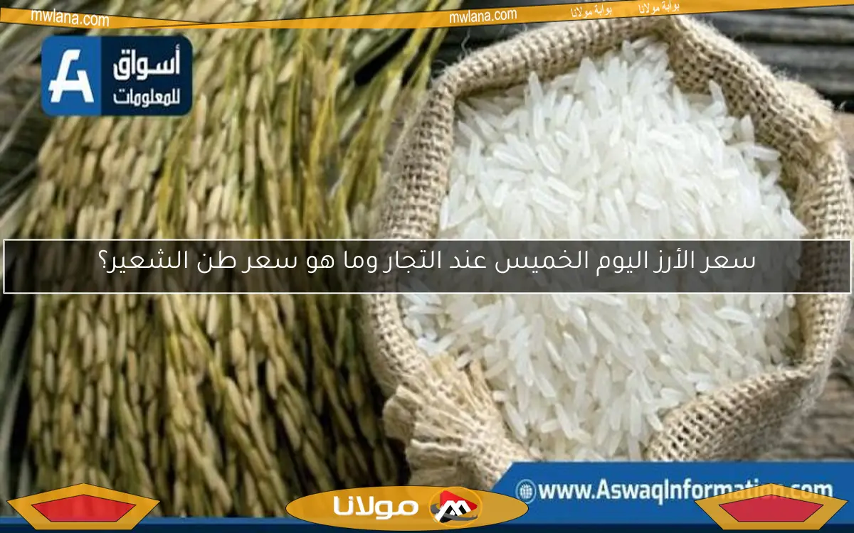 سعر الأرز اليوم الخميس عند التجار وما هو سعر طن الشعير؟