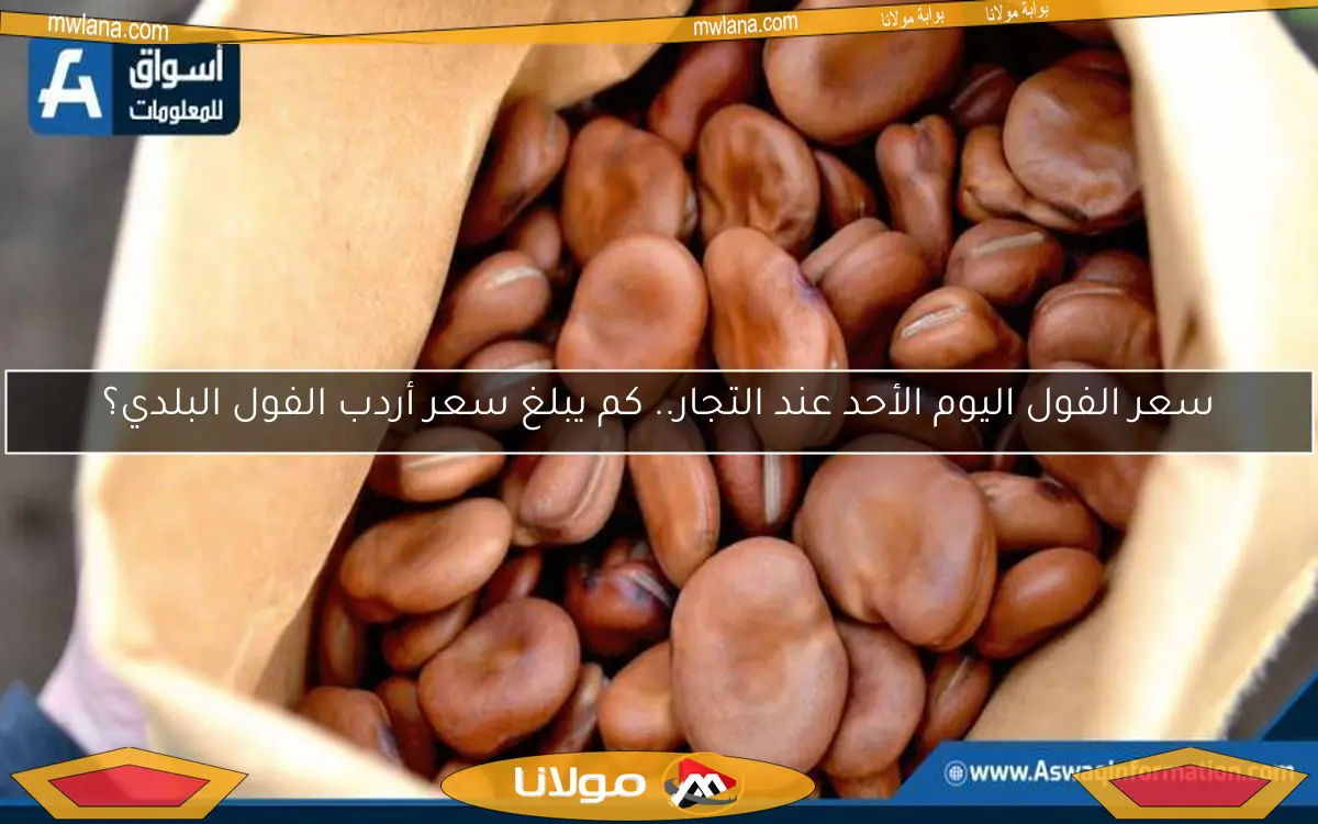 سعر الفول اليوم الأحد عند التجار.. كم يبلغ سعر أردب الفول البلدي؟