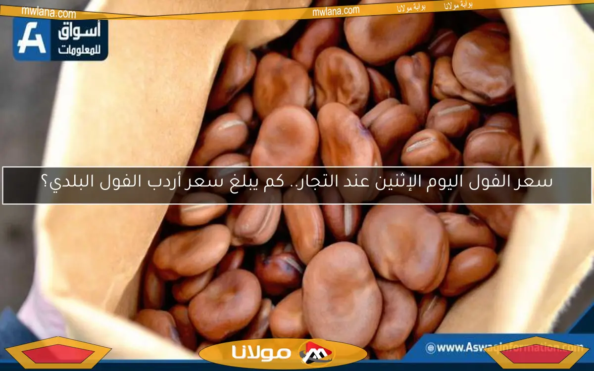 سعر الفول اليوم الإثنين عند التجار.. كم يبلغ سعر أردب الفول البلدي؟