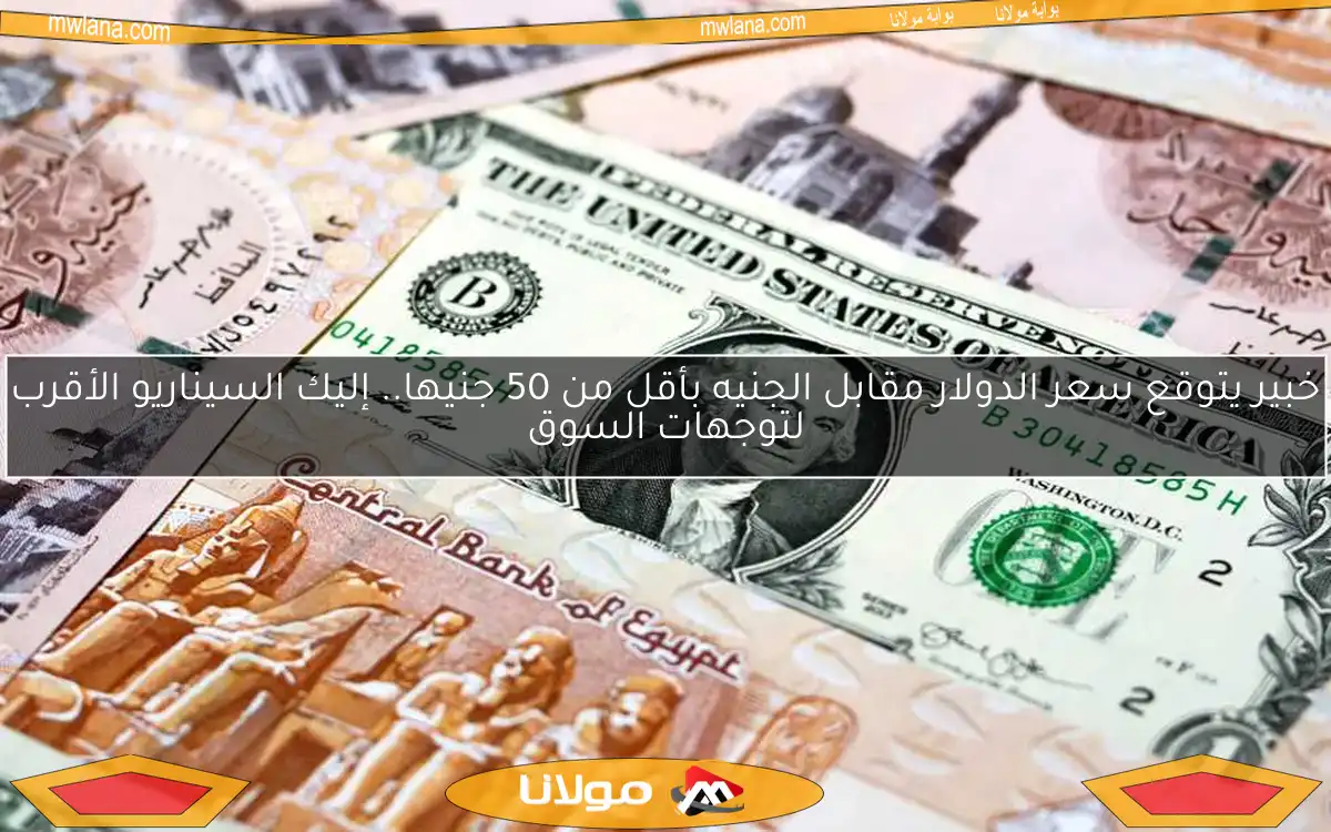 خبير يتوقع سعر الدولار مقابل الجنيه بأقل من 50 جنيها.. إليك السيناريو الأقرب لتوجهات السوق