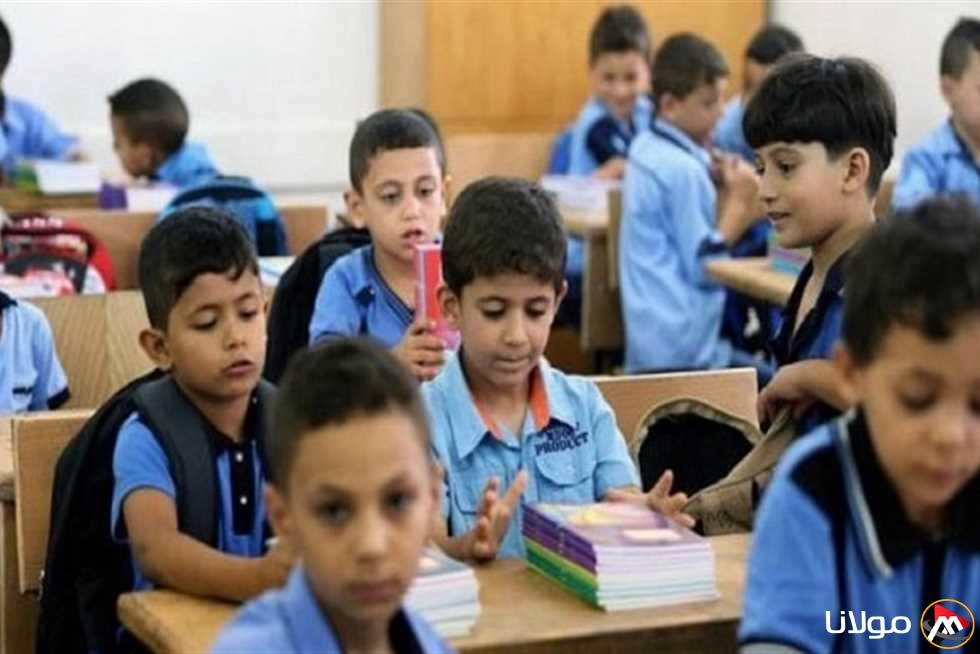 موعد تقييمات الترم الثاني للصفين الأول والثاني الابتدائي يقترب خلال أيام في 2025
