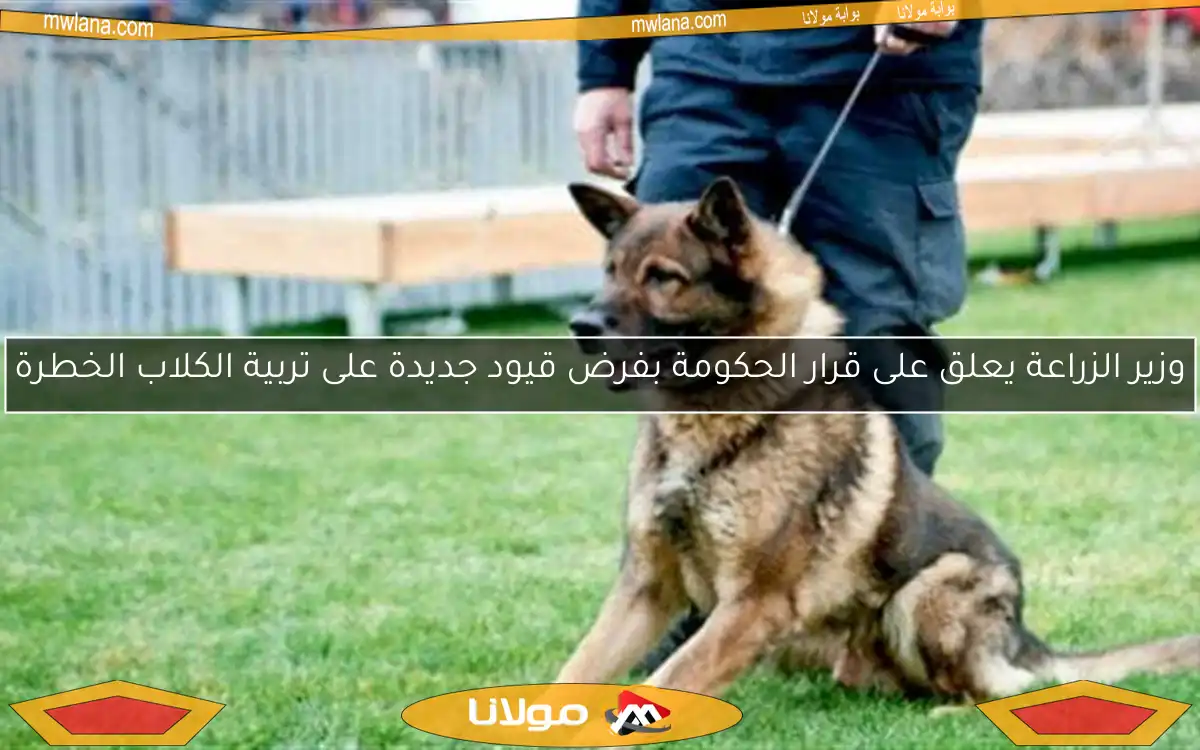 وزير الزراعة يعلق على قرار الحكومة بفرض قيود جديدة على تربية الكلاب الخطرة
