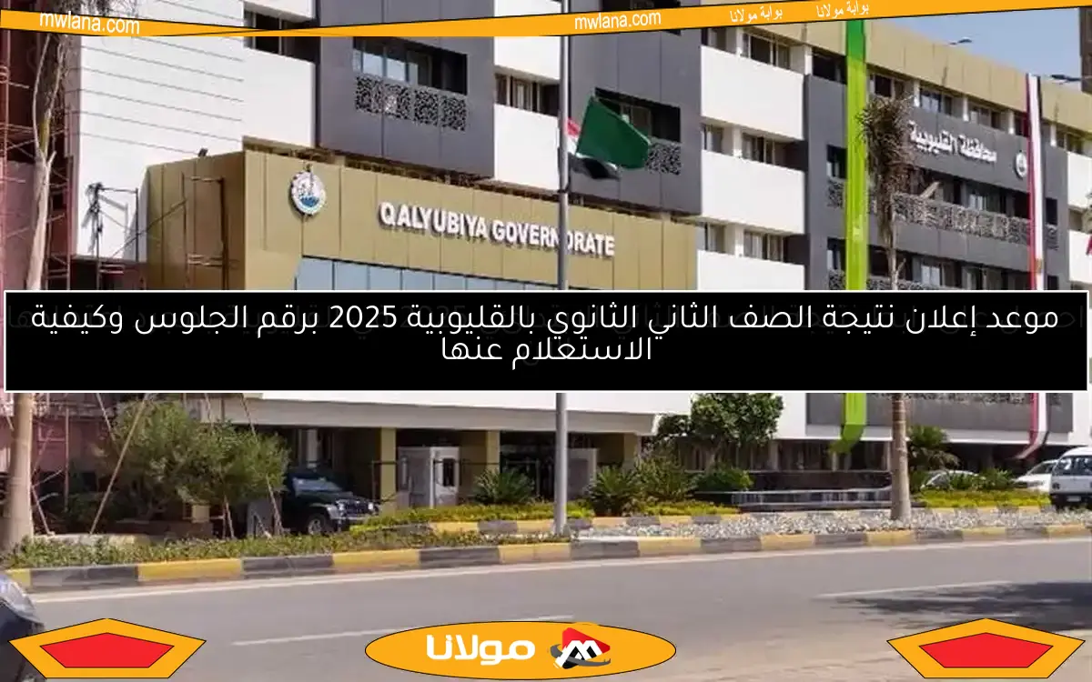 احصل على رابط نتيجة الصف الثاني الابتدائي 2025 في القليوبية بمجرد اعتمادها الآن