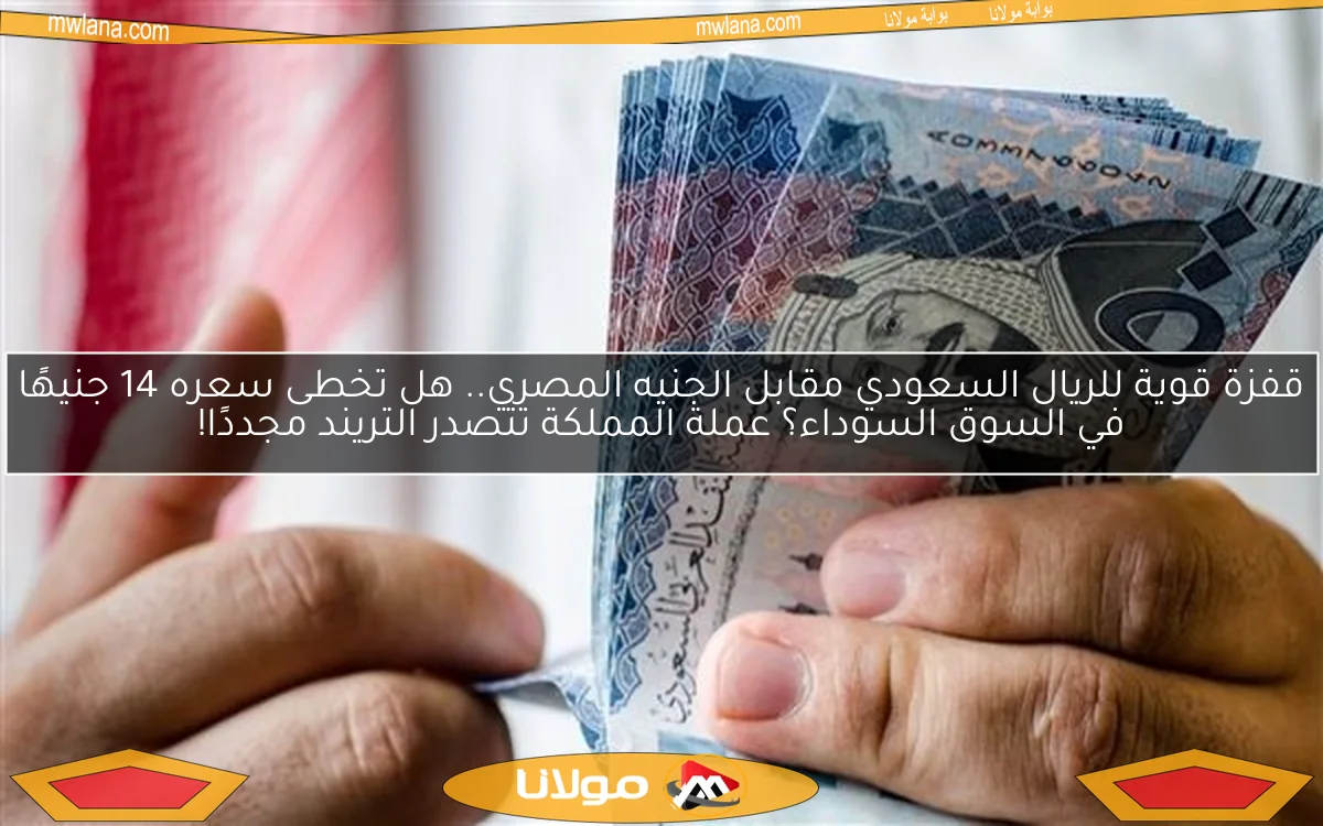 قفزة قوية للريال السعودي مقابل الجنيه المصري.. هل تخطى سعره 14 جنيهًا في السوق السوداء؟ عملة المملكة تتصدر التريند مجددًا!