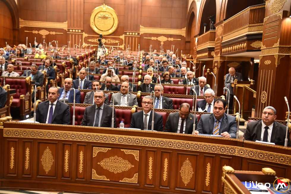 نائبة تطالب بجلسة برلمانية لمناقشة دور «القومي للطفولة» في أزمة طفل البحيرة