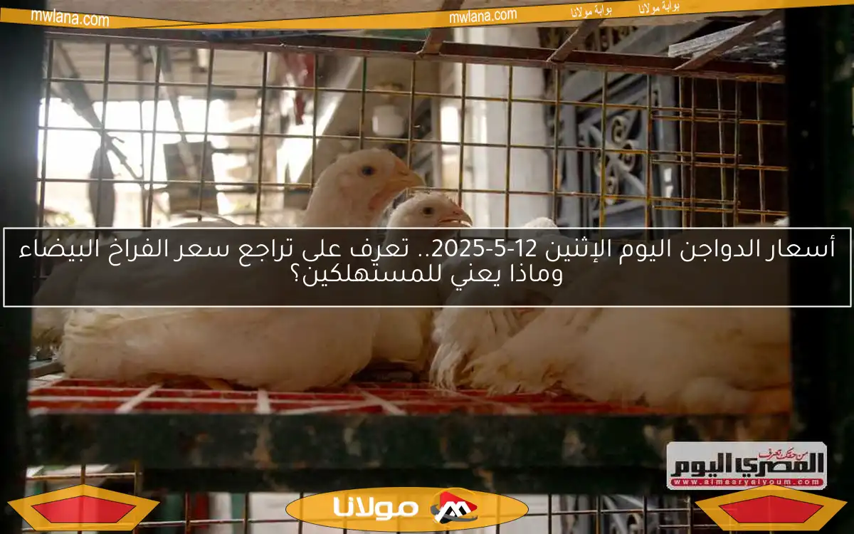 أسعار الدواجن اليوم الإثنين 12-5-2025.. تعرف على تراجع سعر الفراخ البيضاء وماذا يعني للمستهلكين؟