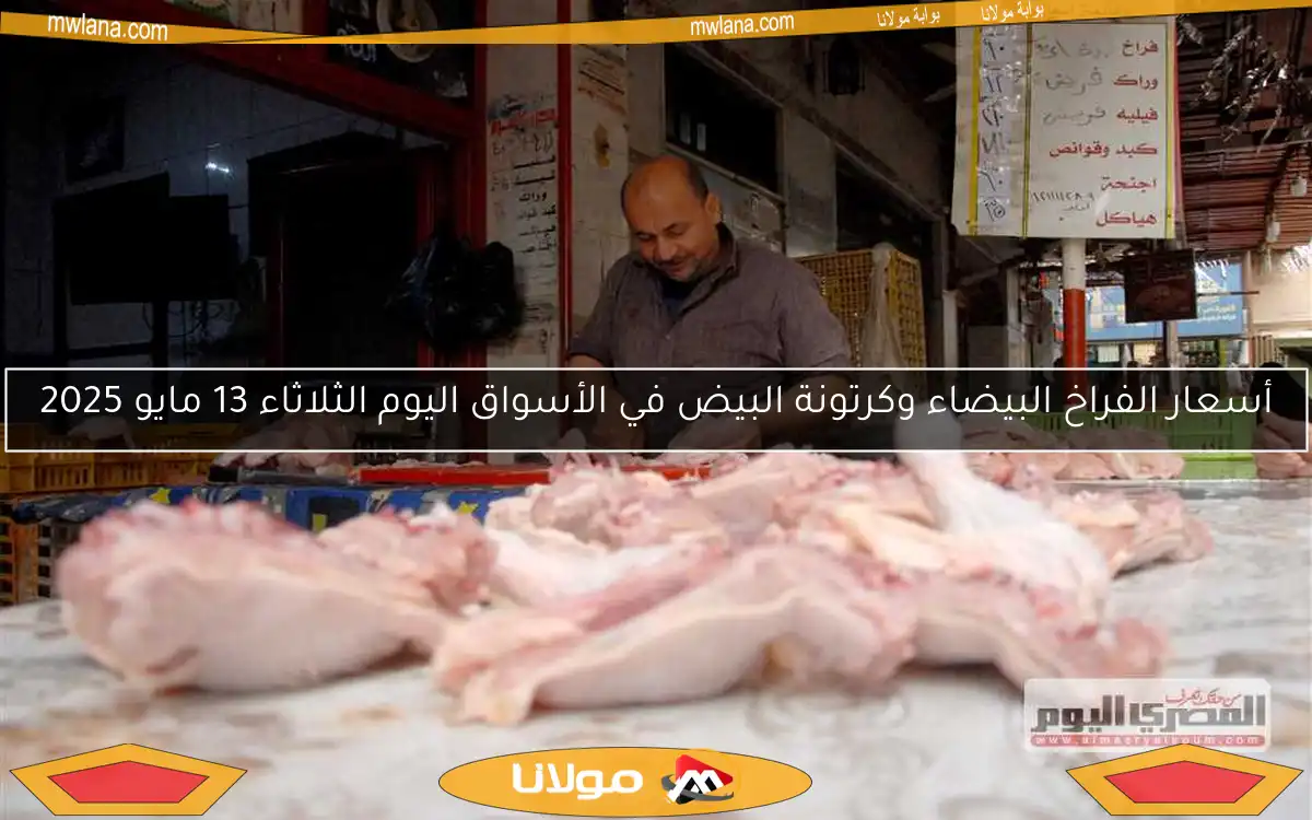 أسعار الفراخ البيضاء وكرتونة البيض في الأسواق اليوم الثلاثاء 13 مايو 2025