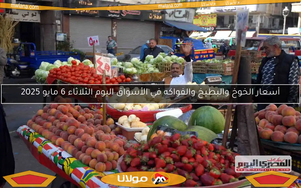 أسعار الخوخ والبطيخ والفواكه في الأسواق اليوم الثلاثاء 6 مايو 2025
