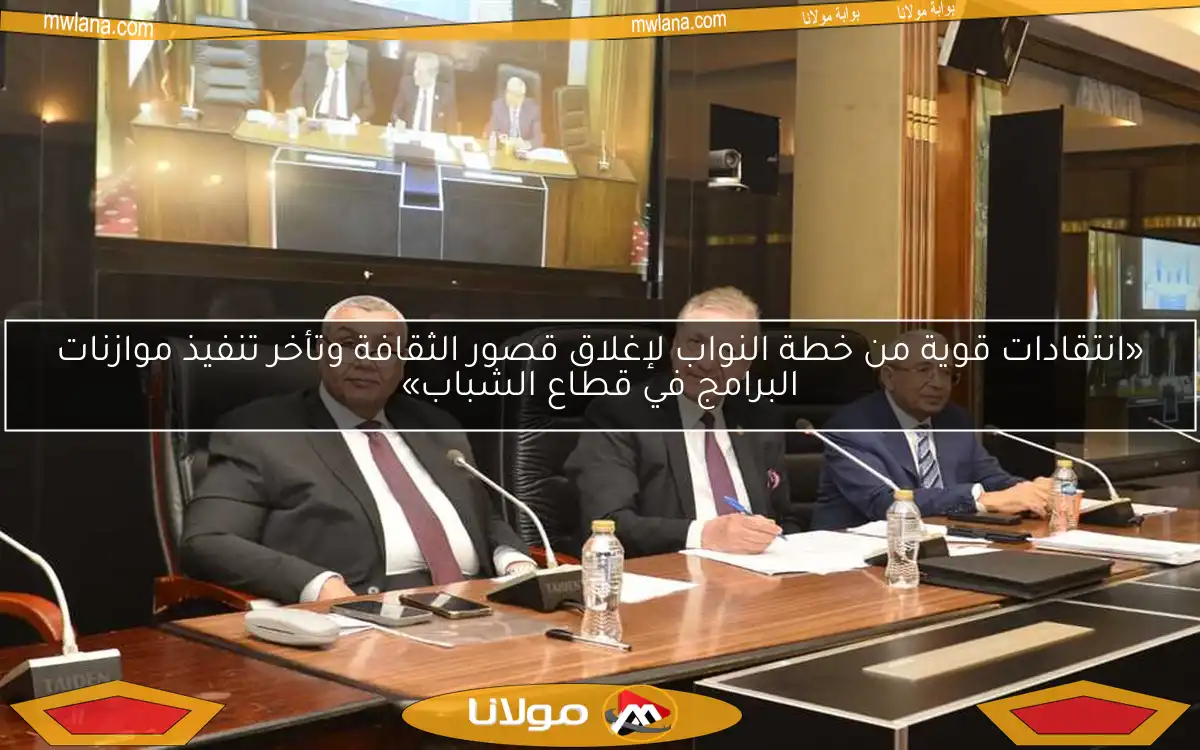 وكيل خطة النواب يؤكد خلال مناقشة موازنة الكهرباء عدم انقطاع التيار في الصيف الحالي