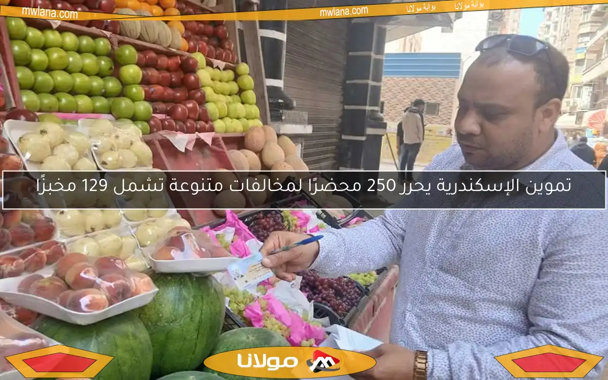 تموين الإسكندرية يحرر 250 محضرًا لمخالفات متنوعة تشمل 129 مخبزًا