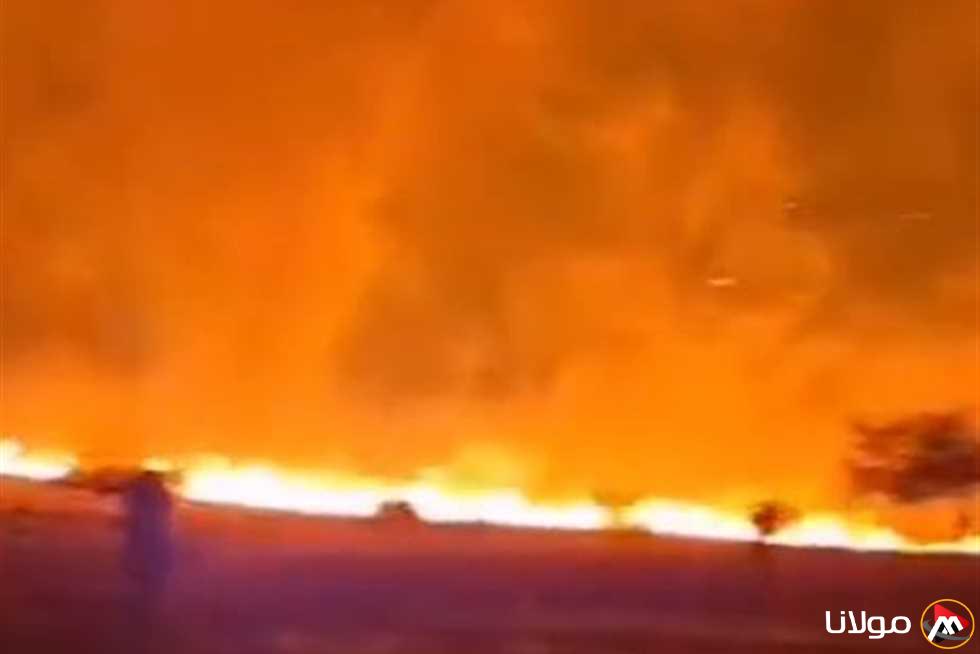 حرائق إسرائيل تشتعل الآن.. مشاهد مرعبة وحالة طوارئ مع تأكيد المسؤولين: الوضع خارج السيطرة (فيديو)