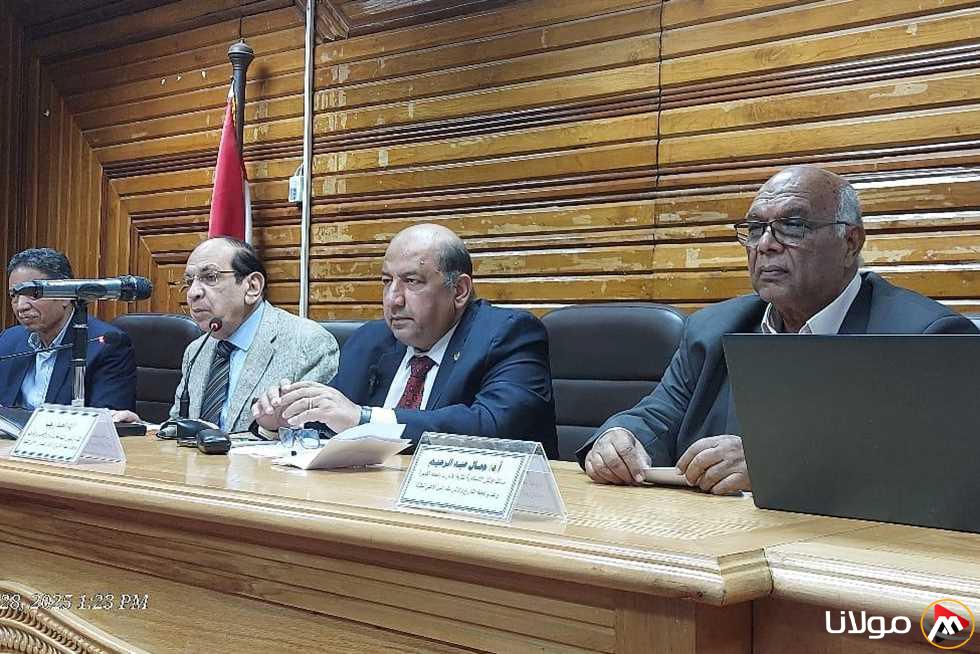 لجنة التاريخ والآثار في الأعلى للثقافة تعقد اجتماعًا مهمًا في جامعة القاهرة.. تعرف على التفاصيل!