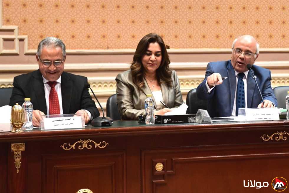 وزيرة التنمية المحلية تؤكد أهمية حصر الأراضي في المحافظات ذات الكثافة العالية لدعم المستفيدين من المادة 5 من قانون الإيجار القديم