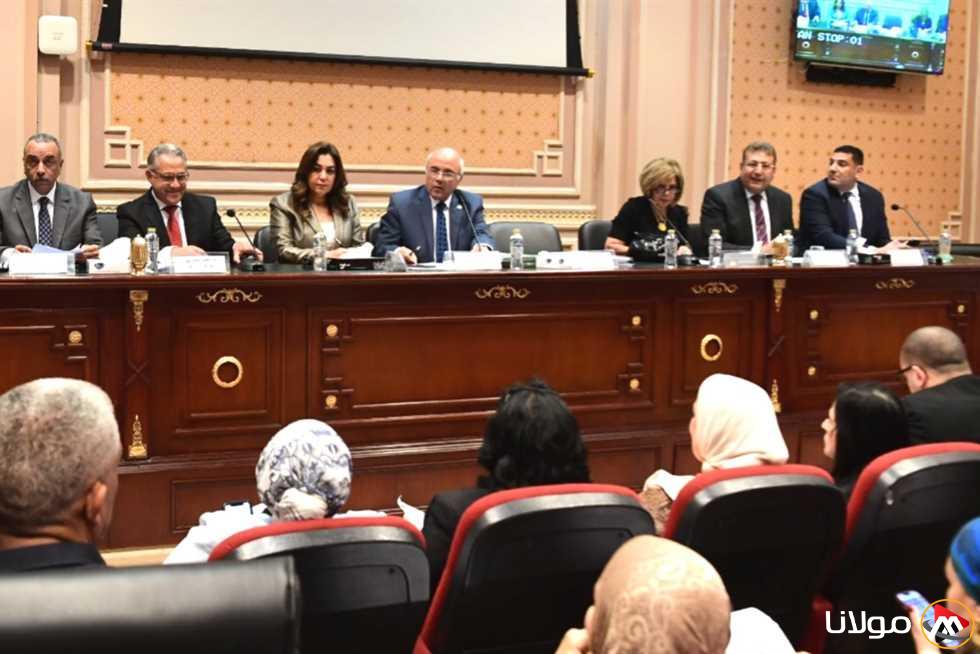 لماذا يتدخل القومي لحقوق الإنسان في قضية الإيجار القديم الآن؟ الحكومة توضح موقفها