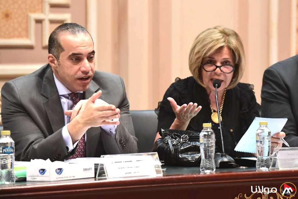 رئيس القومي لحقوق الإنسان يؤكد أهمية الجدوى الاقتصادية للإيجار القديم