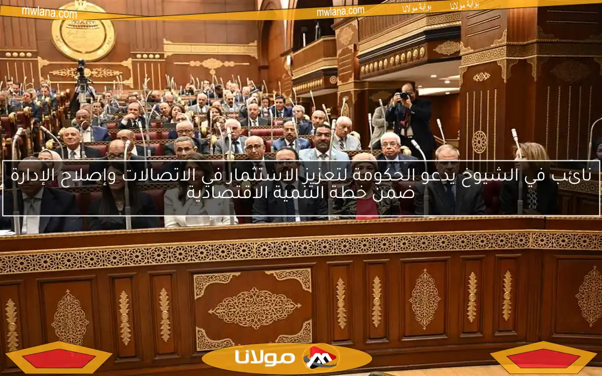 نائب في الشيوخ يدعو الحكومة لتعزيز الاستثمار في الاتصالات وإصلاح الإدارة ضمن خطة التنمية الاقتصادية