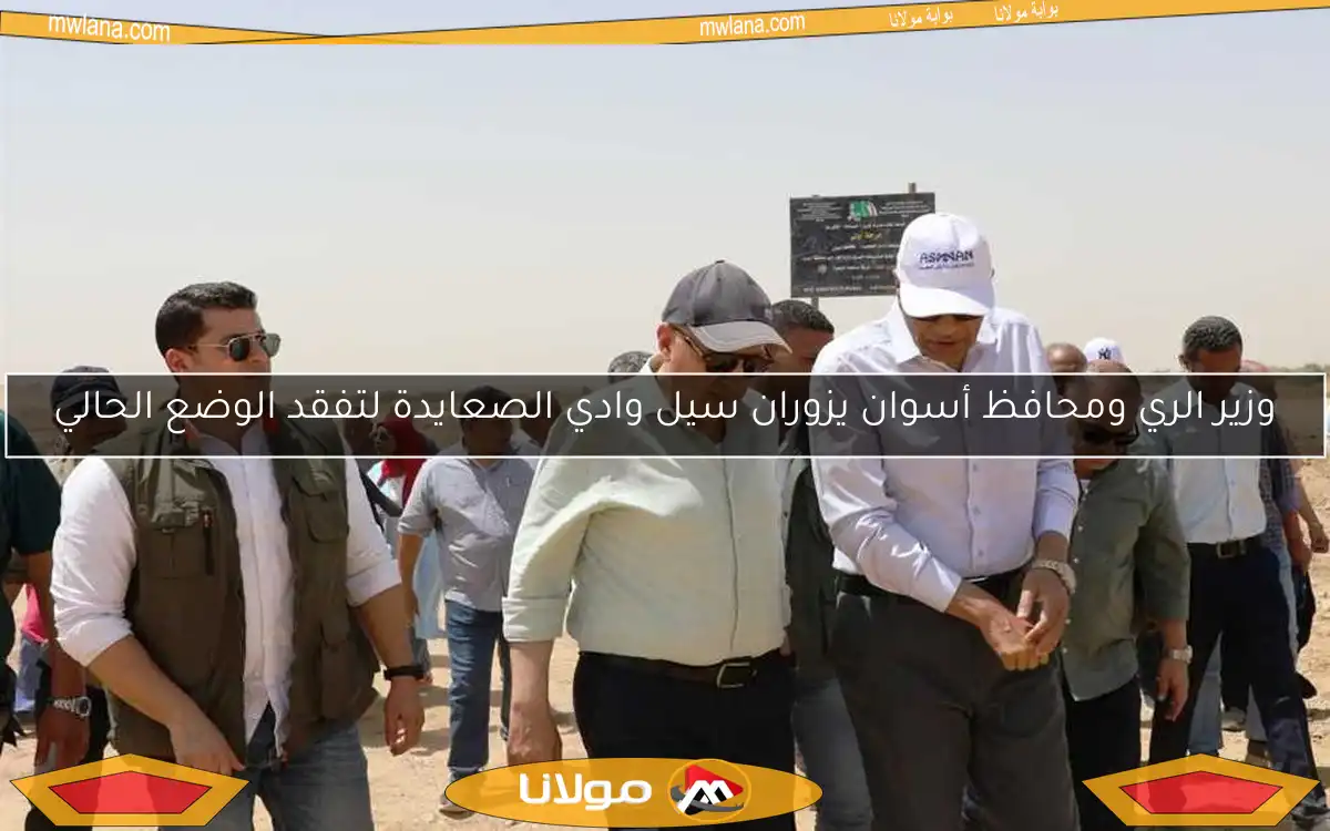 وزير الري ومحافظ أسوان يزوران سيل وادي الصعايدة لتفقد الوضع الحالي