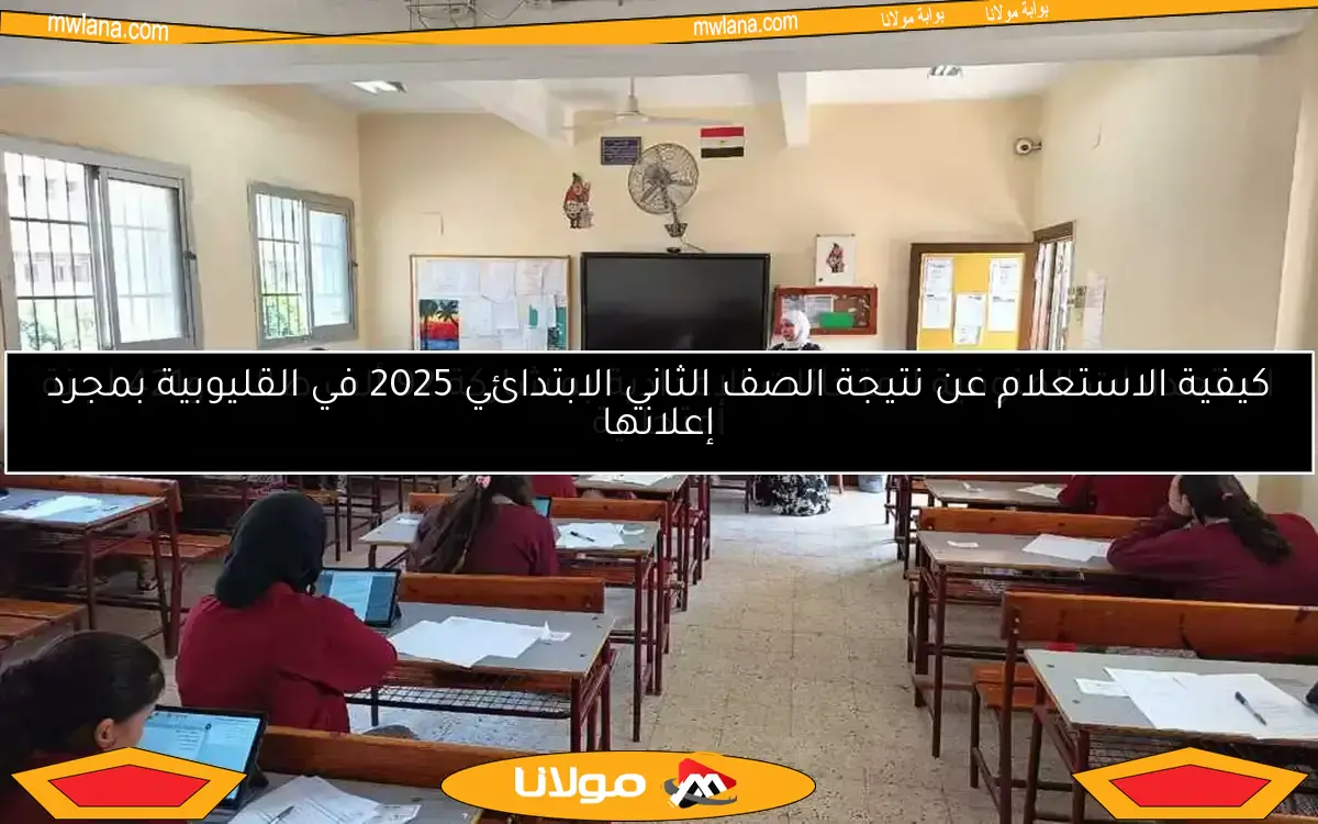 تعليمات صارمة لضمان انضباط لجان امتحانات الترم الثاني 2025 للصفين الأول والثاني الثانوي تبدأ اليوم
